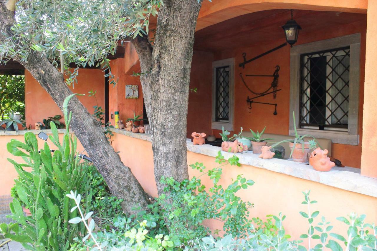 B&B Country Lemon Santa Marta Екстериор снимка